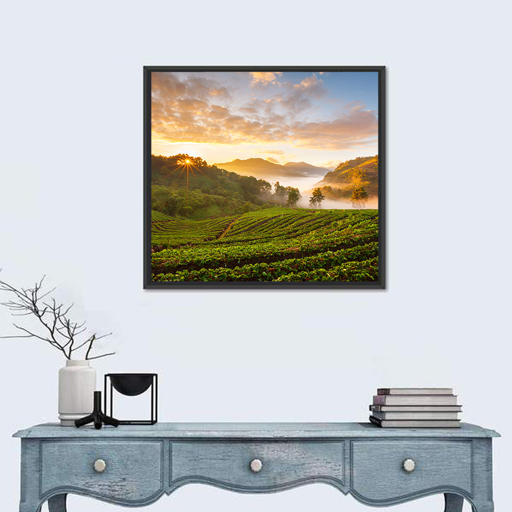 Strawberry Fields Sunrise Wall Art in a room, square