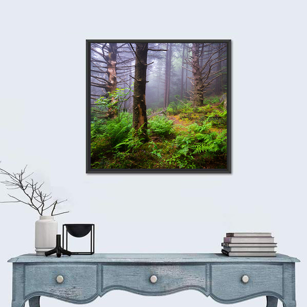 Misty Spruce-fir Trail Wall Art