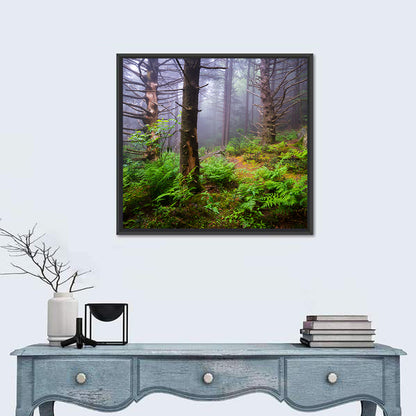 Misty Spruce-fir Trail Wall Art