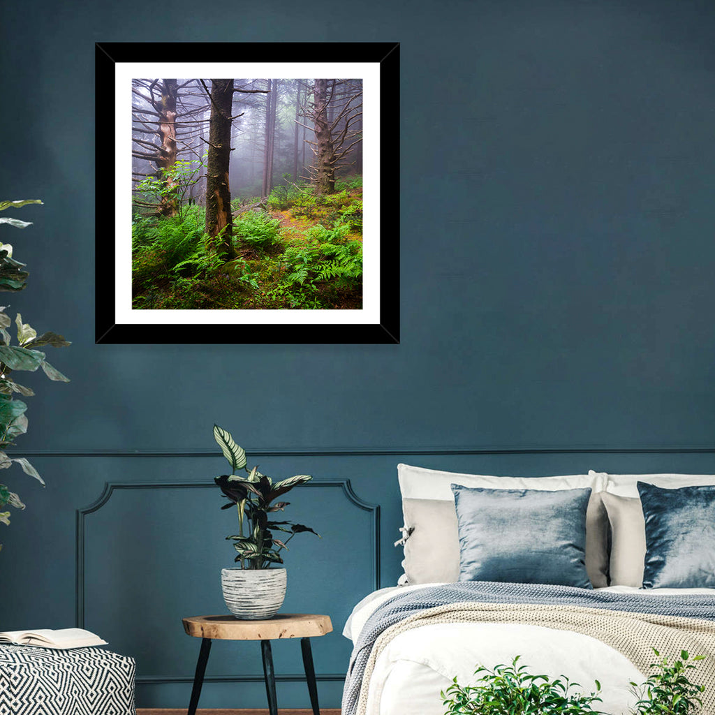 Misty Spruce-fir Trail Wall Art