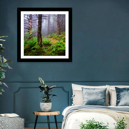 Misty Spruce-fir Trail Wall Art