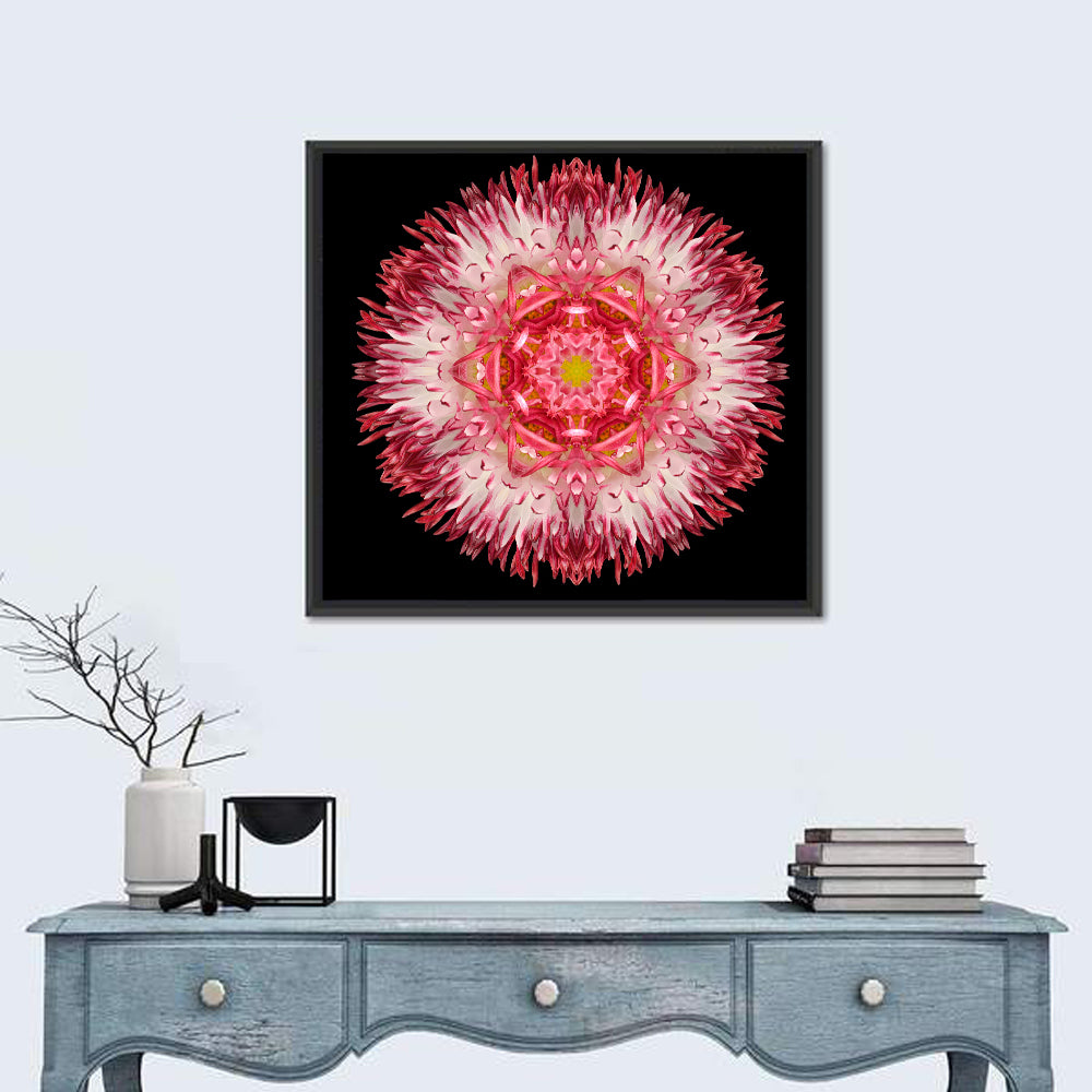 Magenta Chrysanthemum Star Mandala Wall Art in a room, square