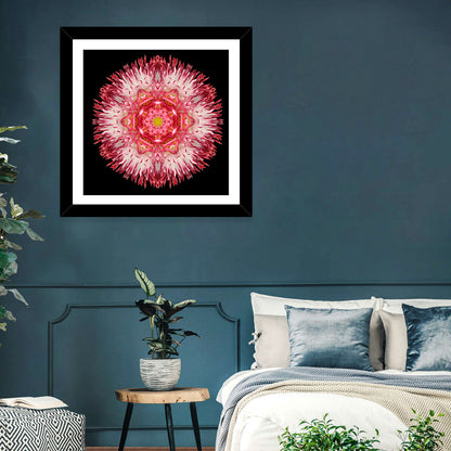 Magenta Chrysanthemum Star Mandala Wall Art