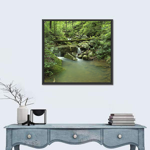 Arkansas Forest Stream Wall Art