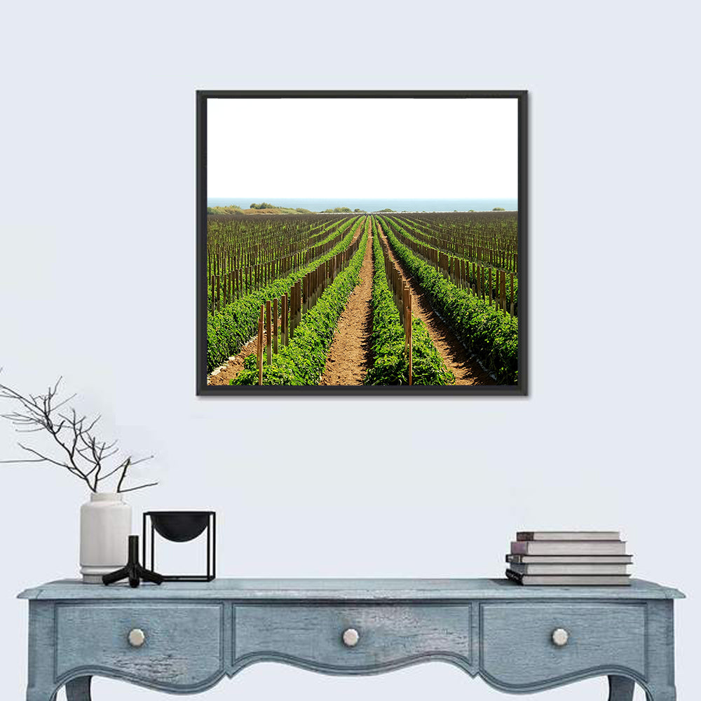 Tomato Fields Wall Art