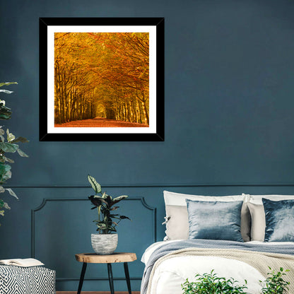 Golden Beech Tree Tunnel in Autumn Wall Art