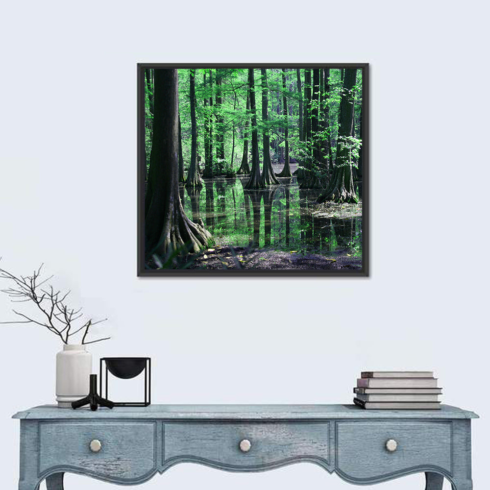 Congaree Swamp Reflection Wall Art