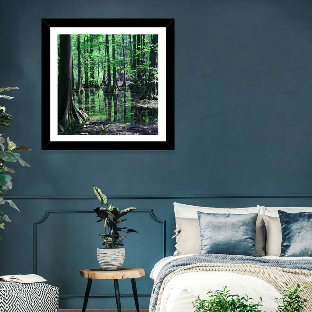 Congaree Swamp Reflection Wall Art