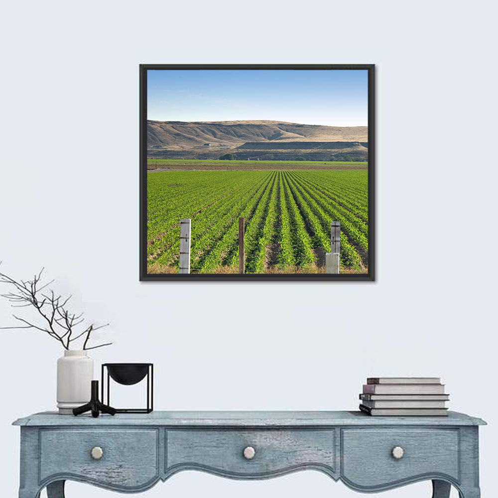 Idaho Corn Field Wall Art