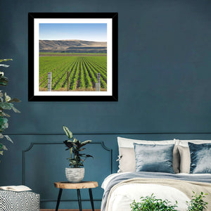 Idaho Corn Field Wall Art