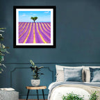 Lavender Field Wall Art