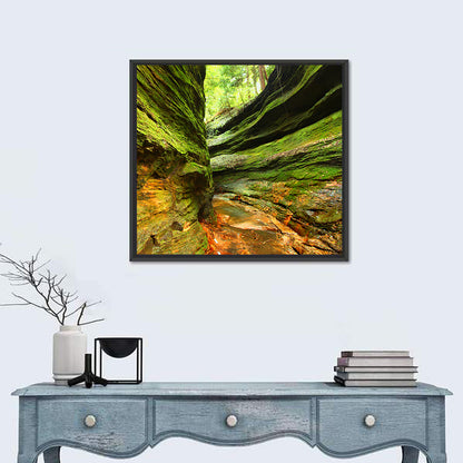 Turkey Run State Park Canyon Wall Art