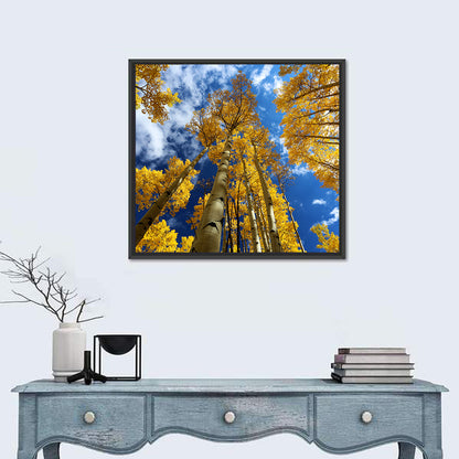 Aspen Trees Wall Art