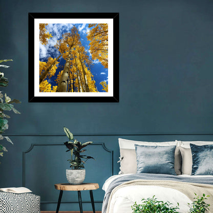 Aspen Trees Wall Art