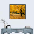 Baltimore Autumn Foliage Wall Art