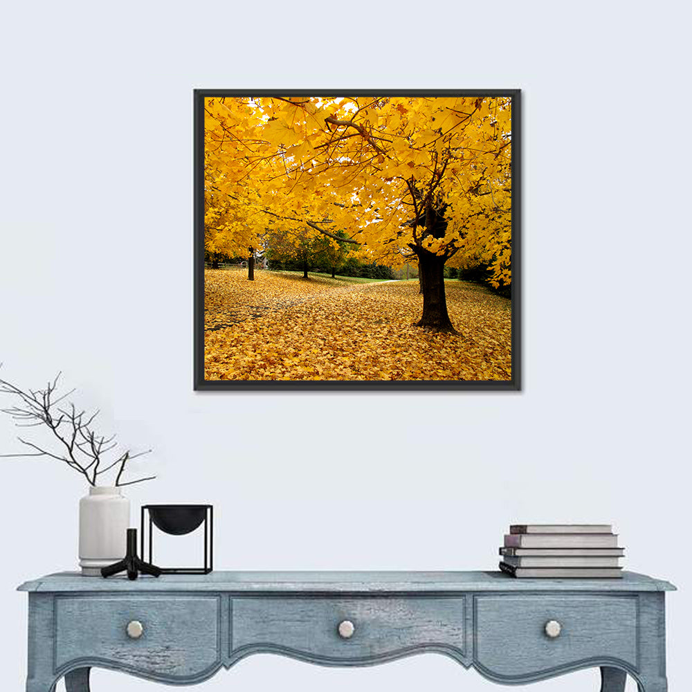 Baltimore Autumn Foliage Wall Art