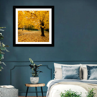 Baltimore Autumn Foliage Wall Art