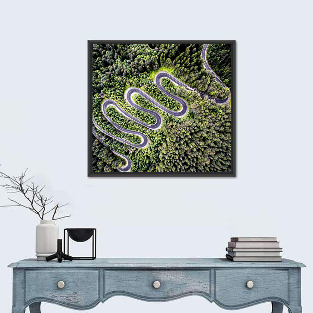 Serpentine Mountain Road Wall Art