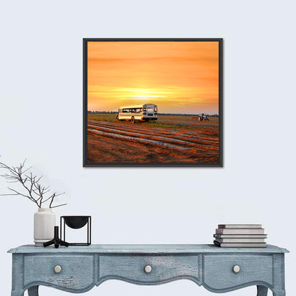 Indiana Farm Field at Golden Hour Wall Art