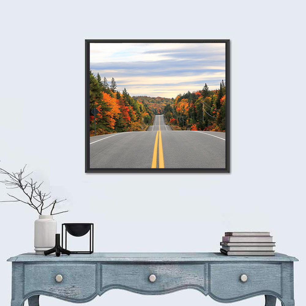 Algonquin Park Road Wall Art