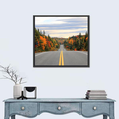 Algonquin Park Road Wall Art