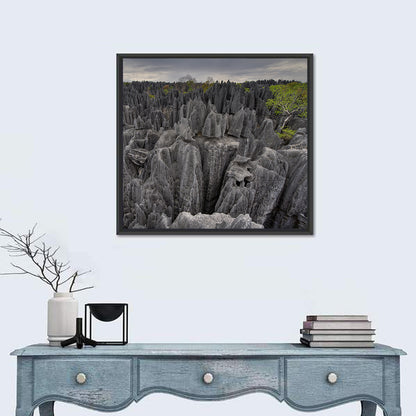 Tsingy De Bemaraha Pinnacles Wall Art