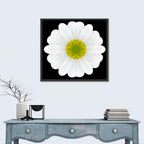 High Contrast Daisy Mandala Pattern Wall Art
