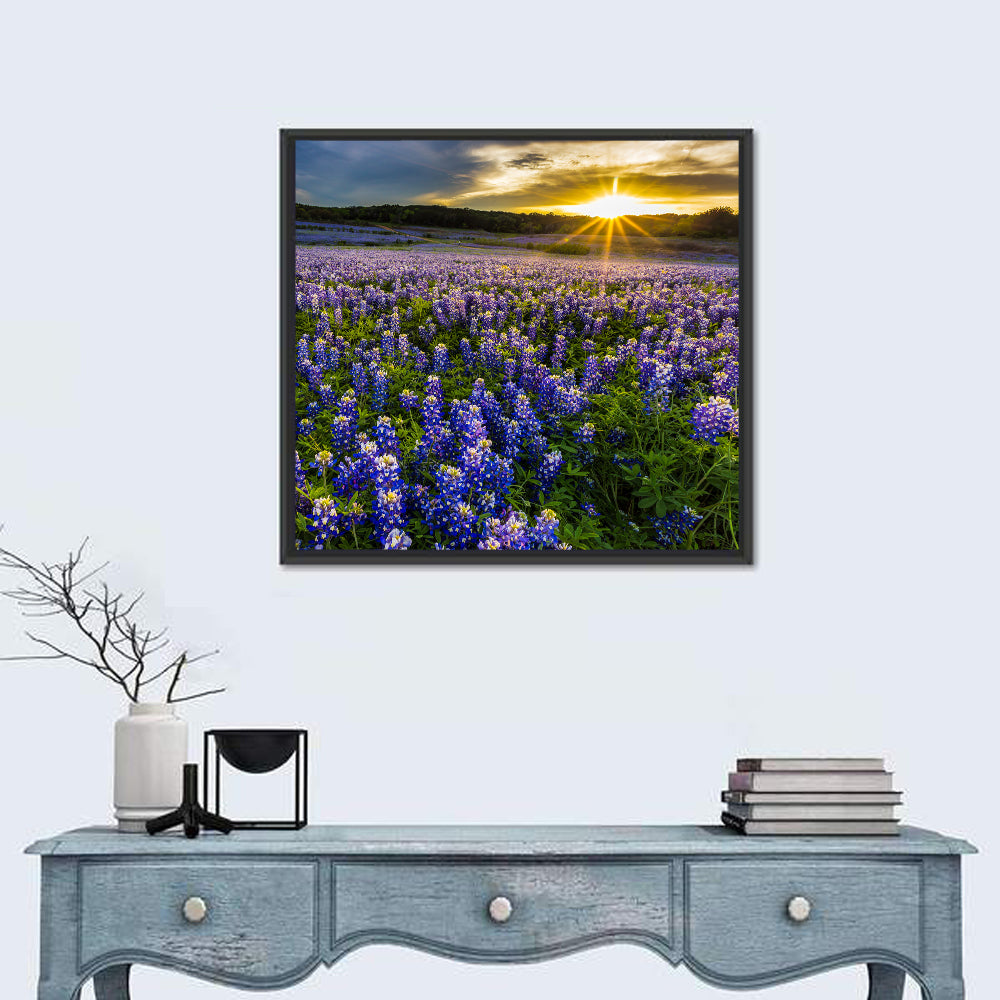 Texas Bluebonnet Field at Sunset Wall Art