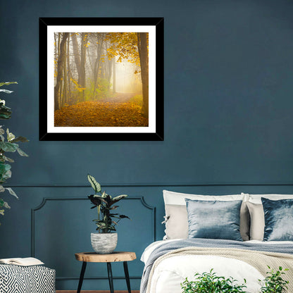 Cuyahoga Valley Autumn Path Wall Art
