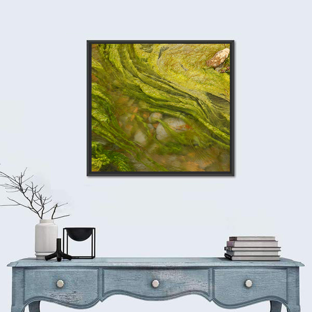 Macro Algae Stream Wall Art