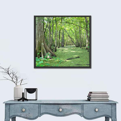 Summer Cypress Bayou, Louisiana Wall Art