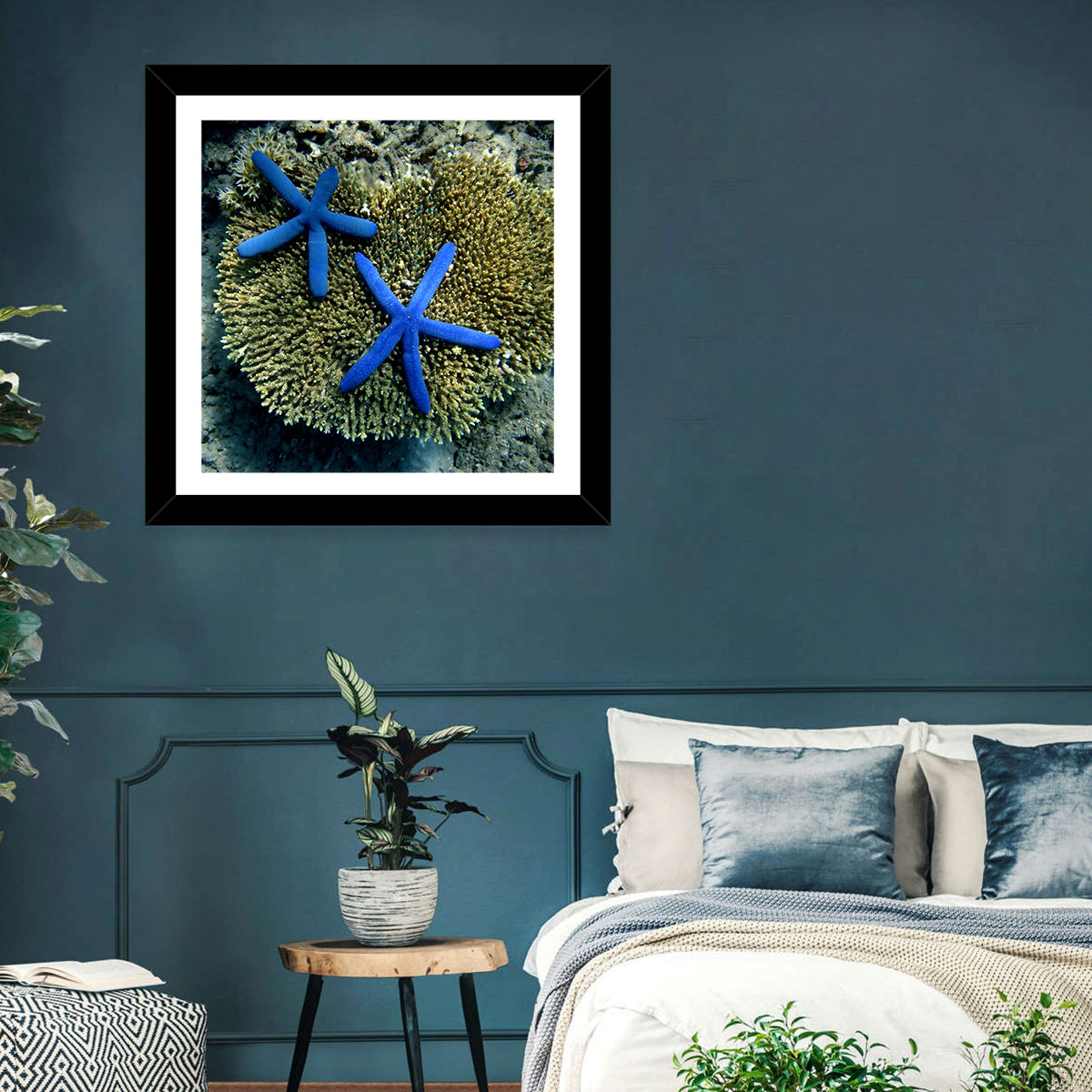 Blue Starfish Wall Art in a room, square