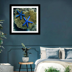 Blue Starfish Wall Art