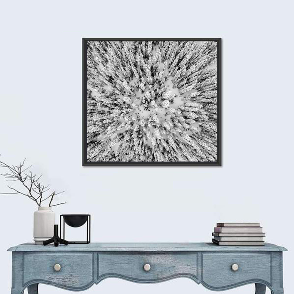 Snowy Aerial Forest Wall Art
