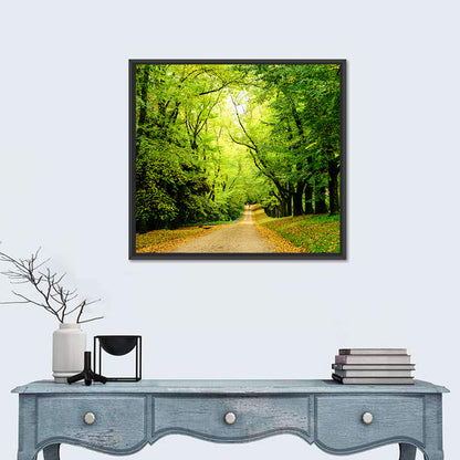 Forest Illuminated Pathway Wall Art