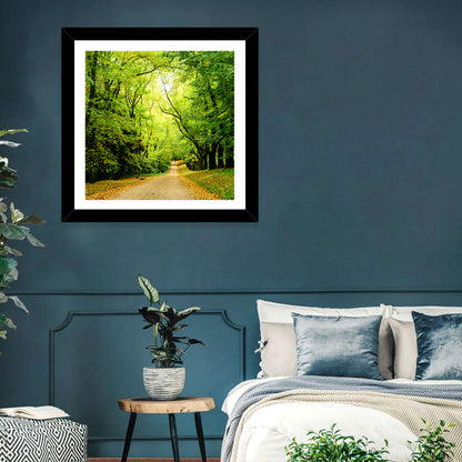Sunlit Forest Pathway Wall Art