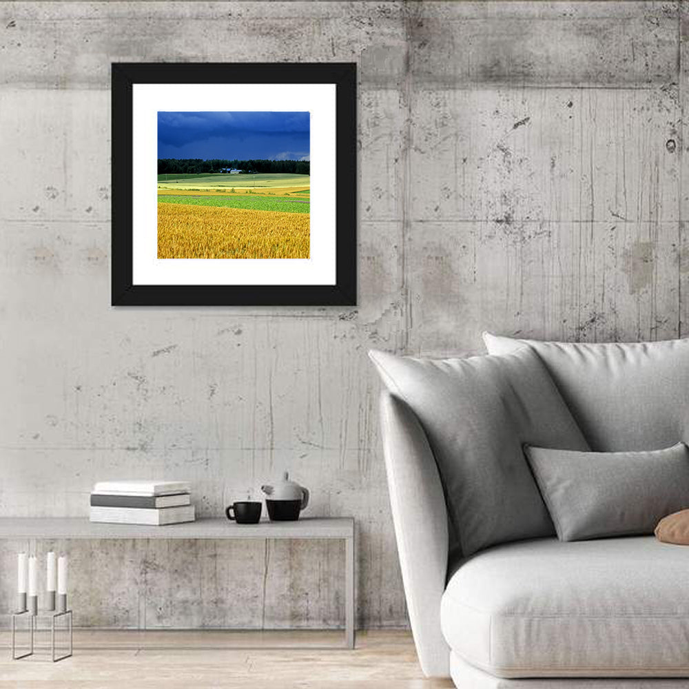 Cornfields Under Stormy Sky Wall Art