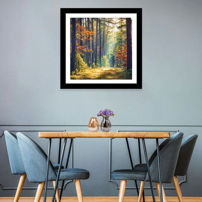 Sunlit Autumn Pine Forest Wall Art