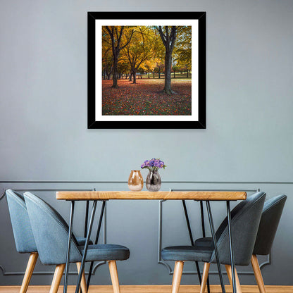 Autumn Park Trees, Pennsylvania Wall Art