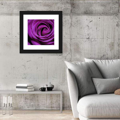 Purple Rose Close-up Wall Art