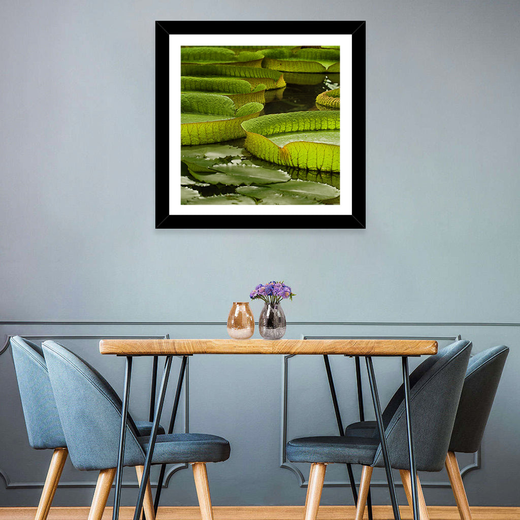 Giant Victoria Amazonica Lily Pads Wall Art