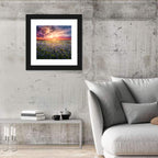 Texas Bluebonnet Sunset Wall Art