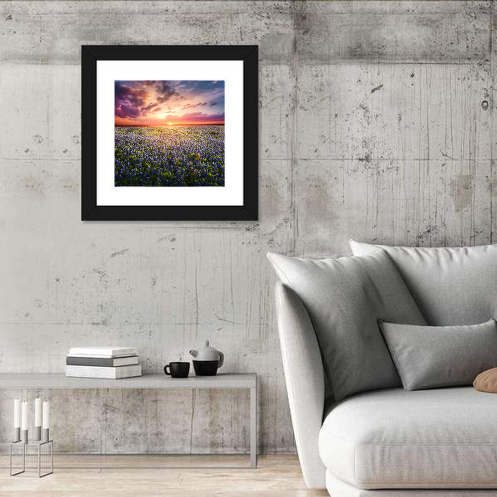 Texas Bluebonnet Sunset Wall Art