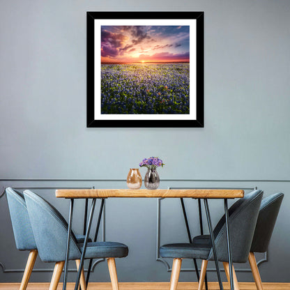 Texas Bluebonnet Sunset Wall Art