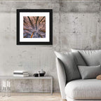 Misty Forest Canopy Wall Art