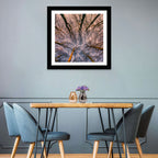 Misty Forest Canopy Wall Art