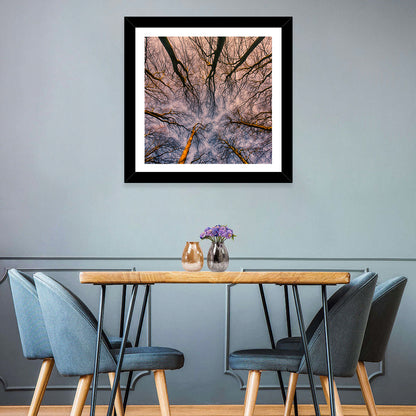 Misty Forest Canopy Wall Art