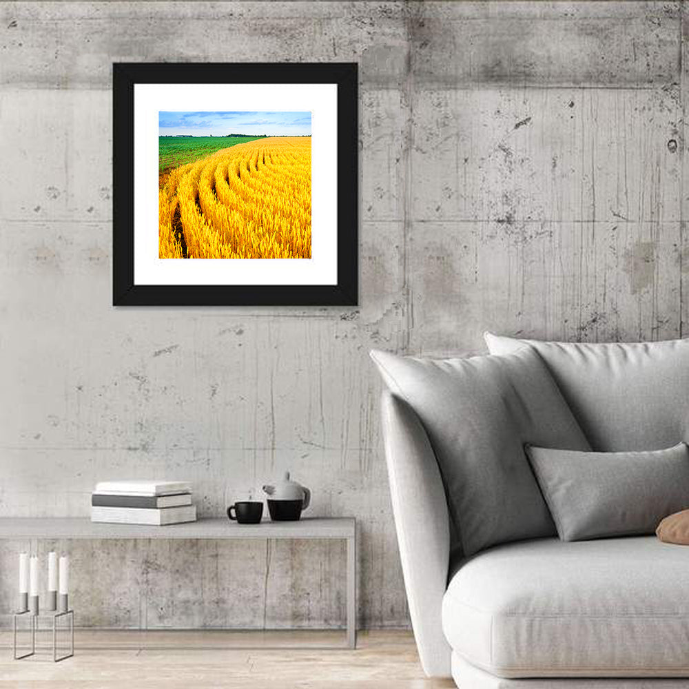 Summer Wheat Field with Curved Paths Wall Art