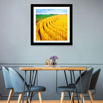 Summer Wheat Field with Curved Paths Wall Art