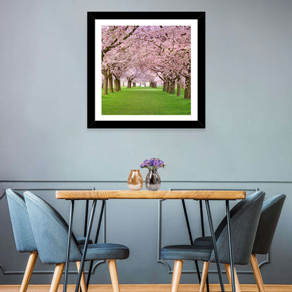 Cherry Blossom Avenue Wall Art